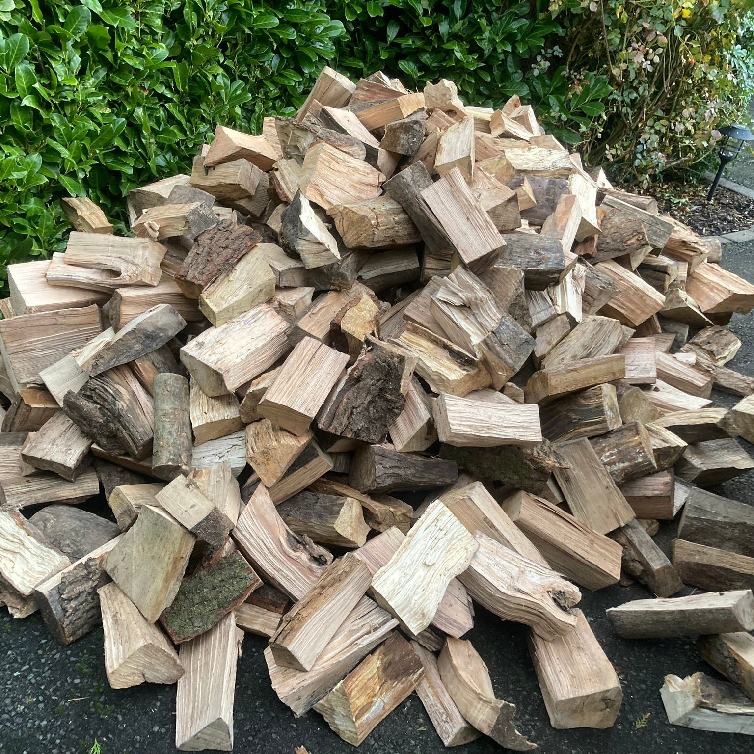 Hardwood Logs Kiln Dried | Loose Load | 2.1 m3